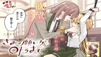 KIMI NO NEGAI GA KANAU MADE KIMI NO NEGAI GA KANAU MADE
