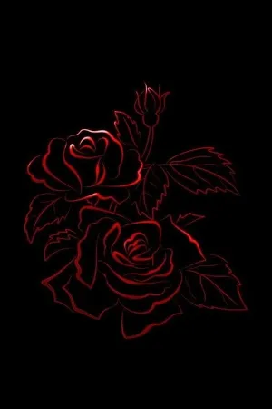 La Rosa Roja y la Rosa Negra