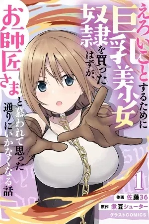 Eroi Koto Suru Tame Ni Kyonyuu Bishoujo Dorei O Katta Hazu Ga, Oshishou-sama To Shitawarete Omotta Toori Ni Ikanaku Naru Hanashi